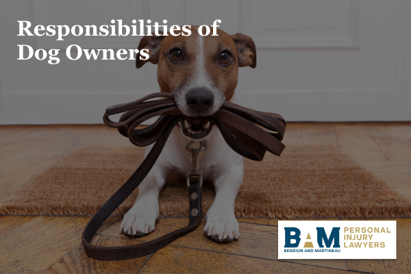 Responsibilities of dog owners